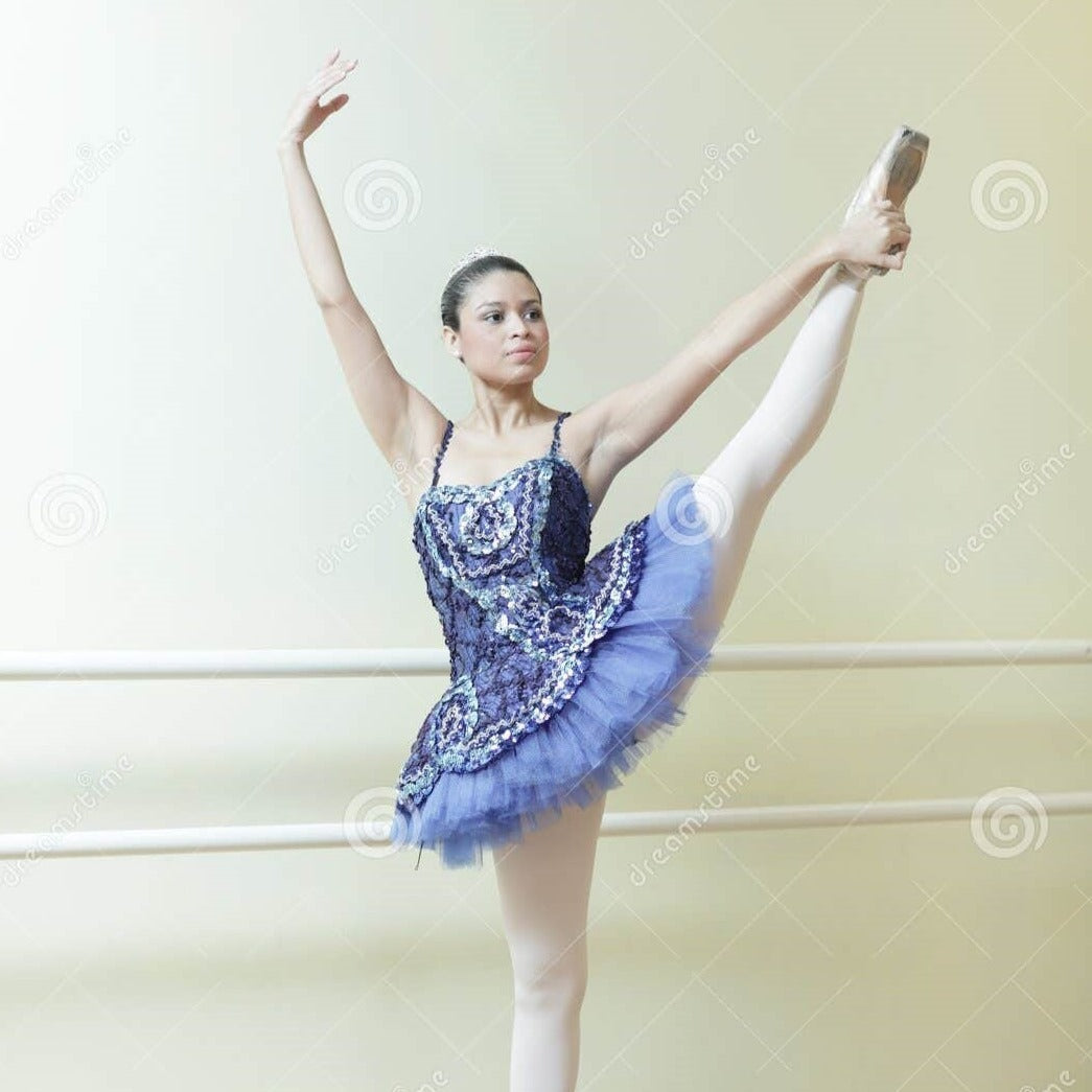 Ballet Private Lesson starting at $9.99