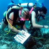 Scuba Dive Private Lesson starting at $9.99